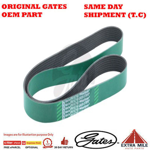Gates V-Ribbed Belt - 8555-0228