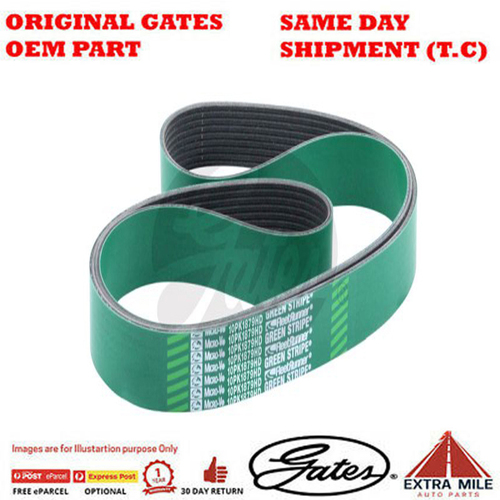 Gates V-Ribbed Belt - 8555-0239