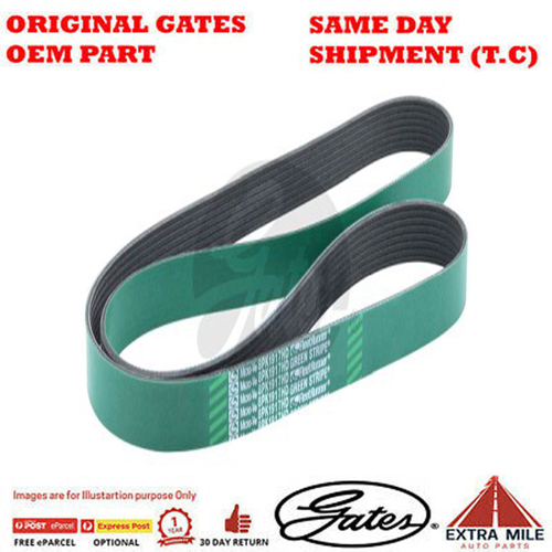 Gates V-Ribbed Belt For MAN TGA/TGS/TGX - 8555-0241