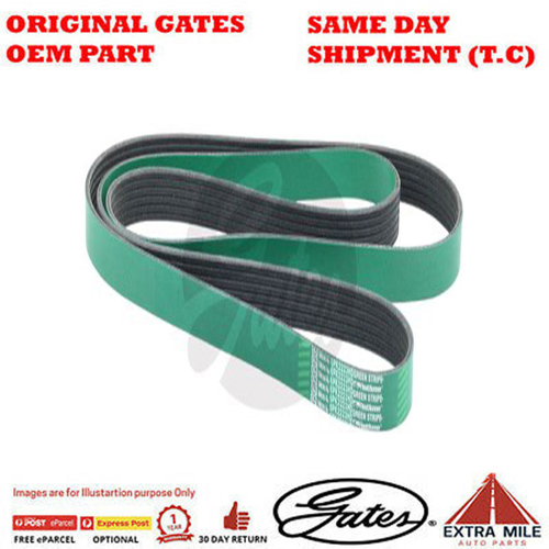 Gates V-Ribbed Belt - 8555-0261
