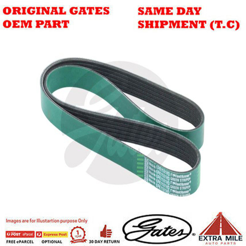 Gates V-Ribbed Belt - 8555-0289