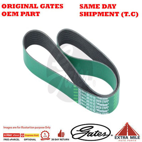 Gates V-Ribbed Belt For DAF 45
 - 8555-0295