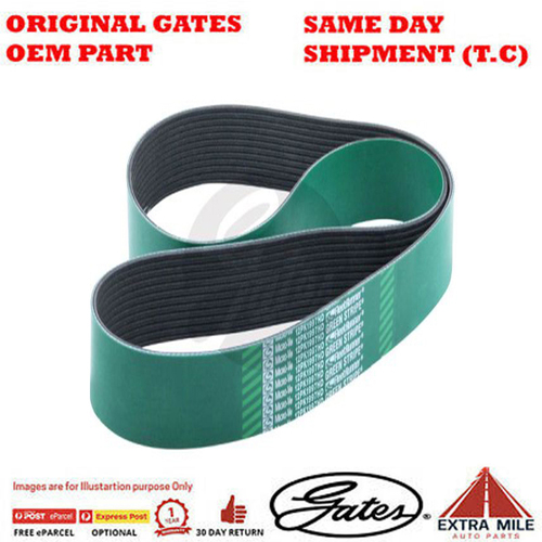 Gates V-Ribbed Belt - 8555-0324