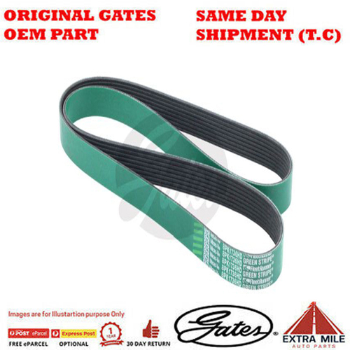 Gates V-Ribbed Belt For MERCEDES-BENZ AXOR 2
 - 8555-0334