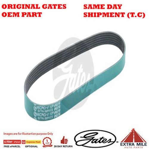 Gates V-Ribbed Belt - 8555-0343