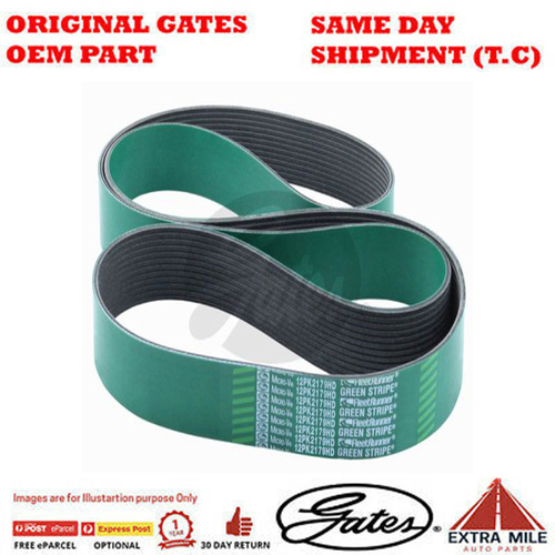 Gates V-Ribbed Belt - 8555-0369