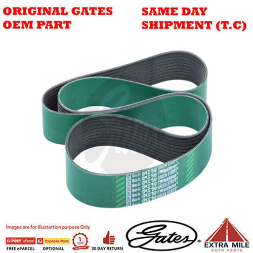 Gates V-Ribbed Belt - 8555-0379