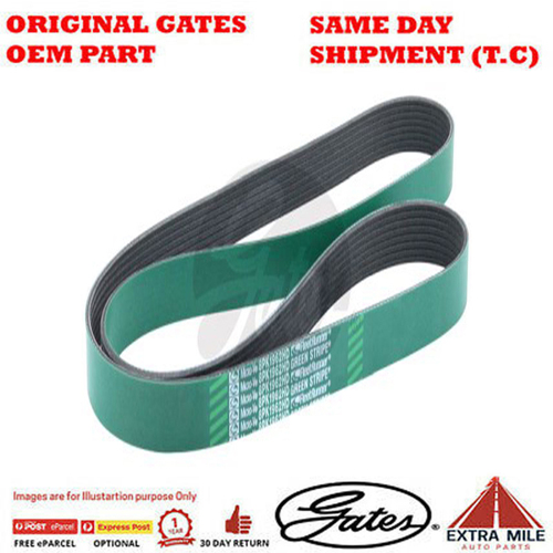Gates V-Ribbed Belt - 8555-0461