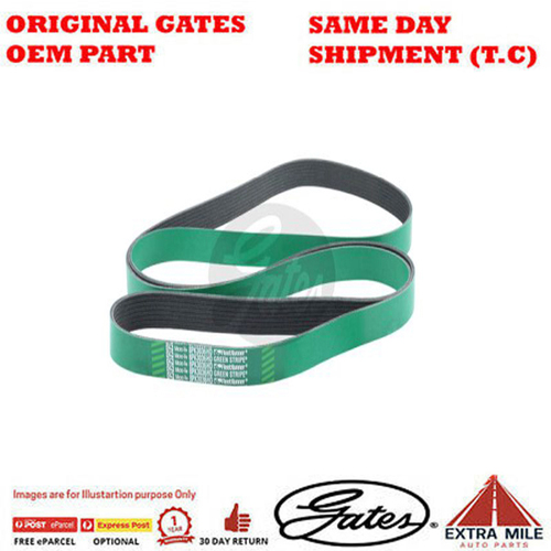 Gates V-Ribbed Belt - 8555-0483