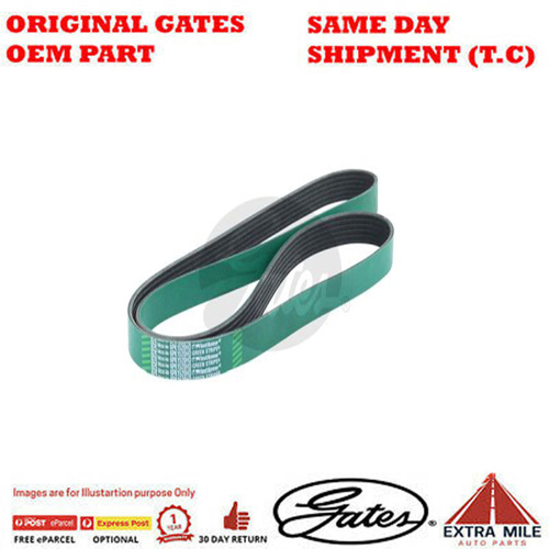 Gates V-Ribbed Belt - 8555-0485