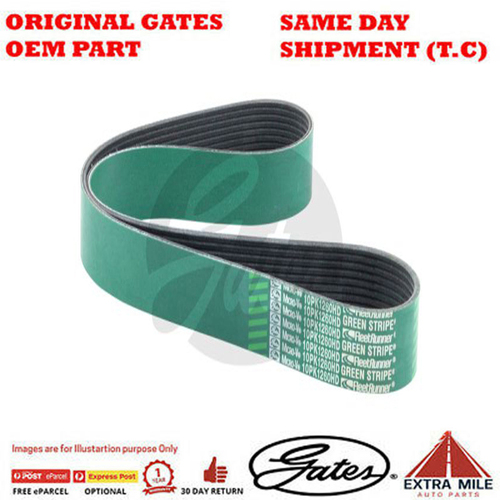 Gates V-Ribbed Belt - 8555-0694