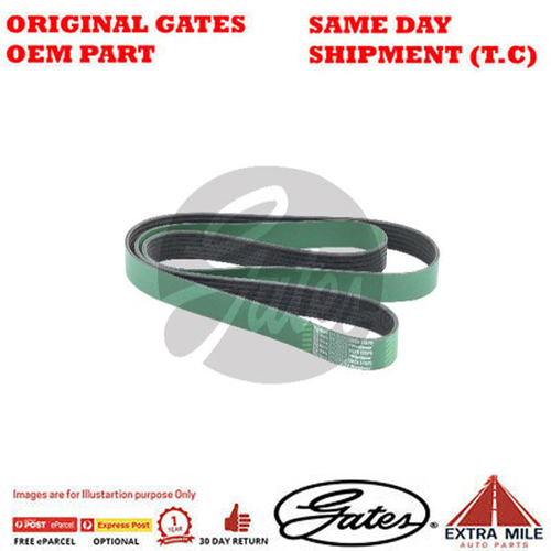 Gates V-Ribbed Belt - 8555-0718