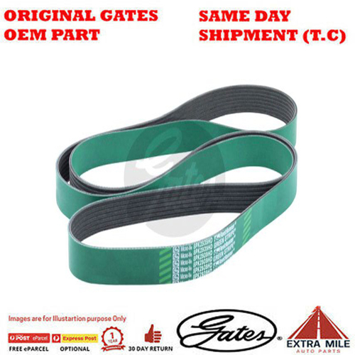 Gates V-Ribbed Belt - 8555-0829