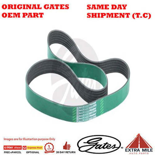 Gates V-Ribbed Belt - 8555-0904