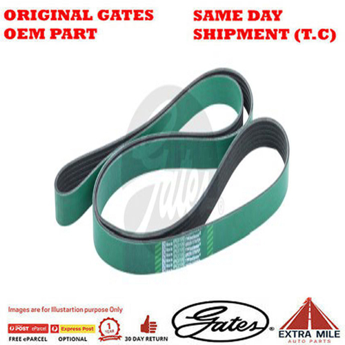 Gates V-Ribbed Belt - 8555-0984