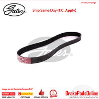 6PK675 / K060265 MV AT V-Ribbed AT Belts 8653-10026