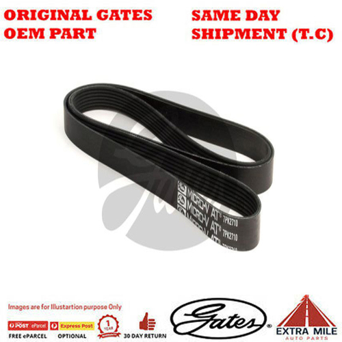 Gates V-Ribbed Belt - 8653-10521