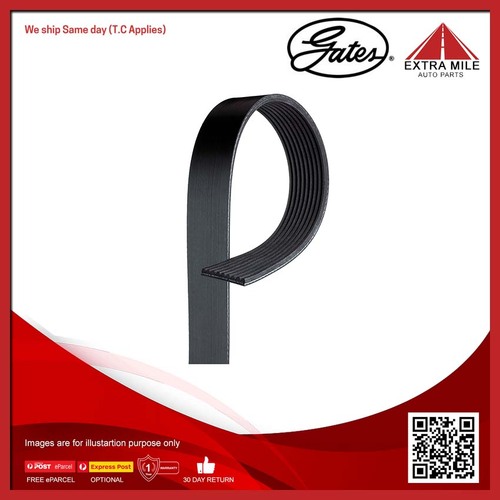 Gates V-ribbed Belt For DAF XF 85 12.9L MX 265, MX 340, MX 300, MX 375