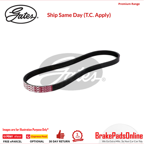 Gates V-Ribbed Belt - 85B4-0725B