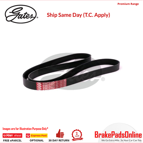 Gates V-Ribbed Belt - 8552-0965