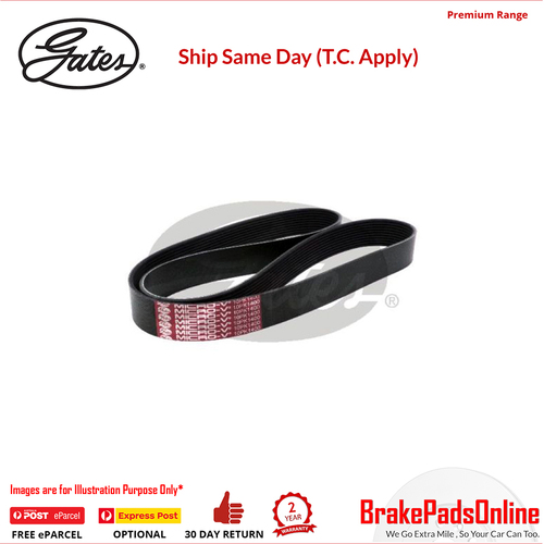 Gates V-Ribbed Belt - 8552-0739