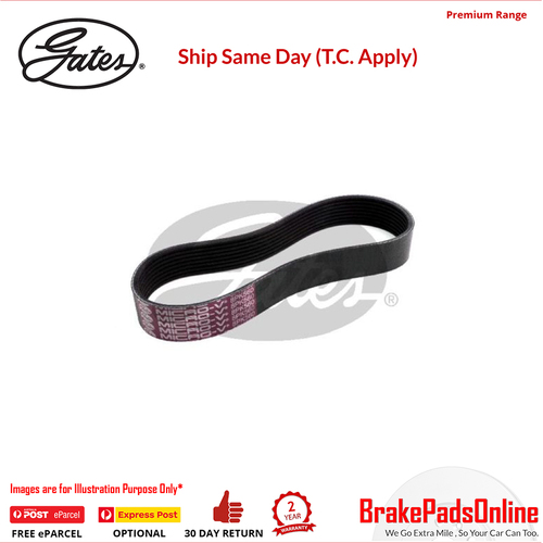 Gates V-Ribbed Belt - 8PK560