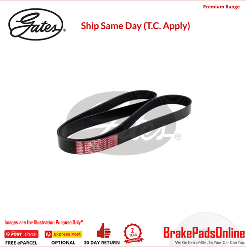 Gates V-Ribbed Belt - 8552-2746