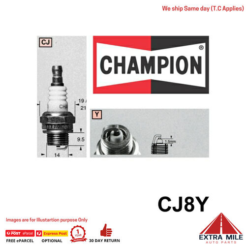 Champion CJ8Y SPARK PLUG - SMALL ENGINE (848)