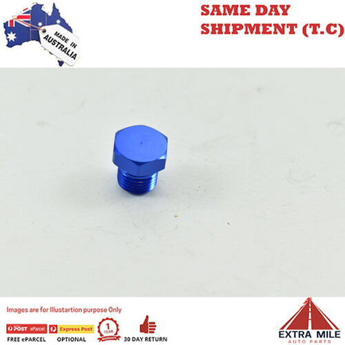 METRIC PLUG M10x1.00 Blue