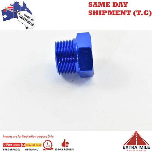 PIPE HEX PLUG 3/8 Blue