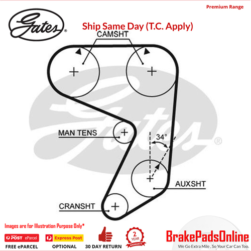 Gates Timing Belt  For Fiat - T019