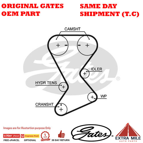 Timing Belt T246 for CHRYSLER PT Cruiser PTFY48/PTFY58/PTFY68