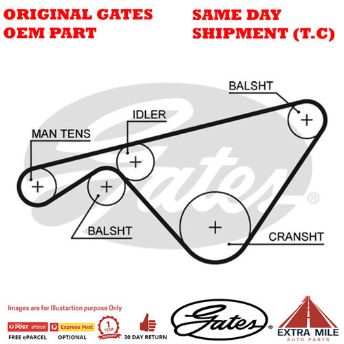 Timing Belt T293 for PORSCHE 924S 92GN40/92HN40