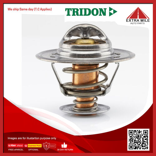 Tridon Thermostat - TT229-170