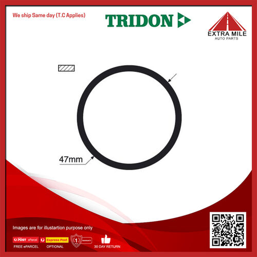 Tridon Thermostat Gasket - TTG48